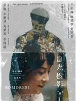 日光树影