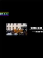 偶像的黄昏：西方学者看民主在线观看