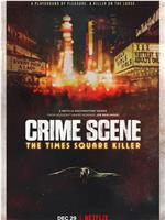 犯罪现场：时代广场杀手 第一季在线观看