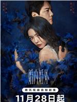 婚内婚外在线观看