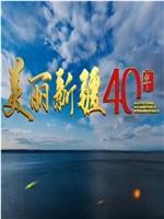 美丽新疆40年