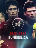 2012-2013 Bundesliga在线观看