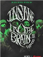 Cypress Hill: Insane in the Brain在线观看