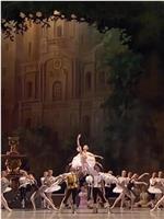 睡美人 马林斯基剧院基洛夫芭蕾舞团