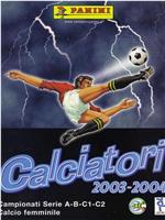 Serie A 2003-2004在线观看