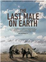 苏丹：最后的雄性犀牛在线观看