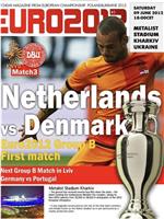 欧洲杯荷兰VS丹麦在线观看