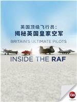 英国顶级飞行员：揭秘英国皇家空军在线观看