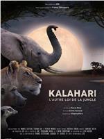 Kalahari, l'autre loi de la jungle Season 1