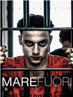 Mare fuori Season 1在线观看