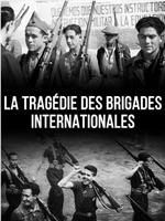 La Tragédie des Brigades Internationales在线观看