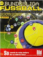 2007-2008赛季 德国足球甲级联赛在线观看