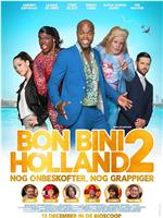 Bon Bini Holland 2在线观看