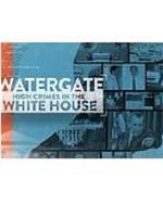 Watergate: High Crimes in the White House在线观看