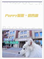 偶像练习生之PUPPY探班