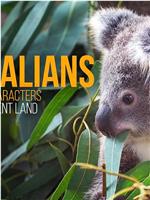 Wild Australians Season 1在线观看