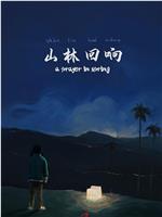 山林回响