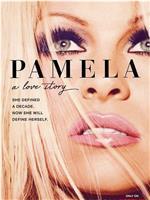 帕米拉·安德森: 我的爱情故事