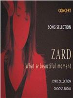 ZARD2004年日本巡回演唱会