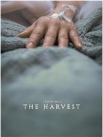 The Harvest