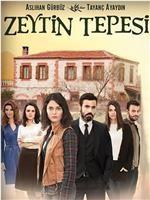 Zeytin Tepesi在线观看