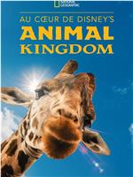 迪士尼动物王国 第二季在线观看