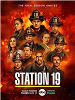 19号消防局 第七季在线观看