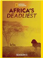 非洲致命动物 第五季