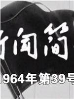 新闻简报1964年第39号在线观看