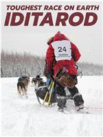 爱迪塔罗德狗拉雪橇比赛 第一季