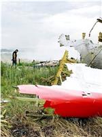秘密文件：谁击落了MH17？