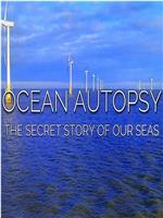 Ocean Autopsy: The Secret Story of Our Seas在线观看