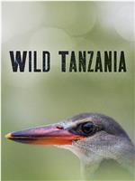 狂野坦桑尼亚 第一季在线观看