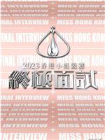 2023香港小姐竞选 终极面试在线观看