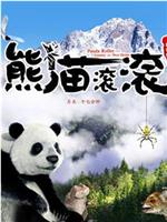 熊猫滚滚——寻找新家园