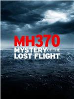 MH370：消失的航班在线观看