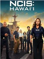 海军罪案调查处：夏威夷 第三季在线观看
