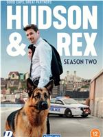 哈德森与雷克斯 第二季在线观看