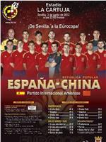 2012年欧洲杯热身赛 西班牙Vs中国