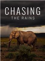 Chasing the Rains Season 1在线观看