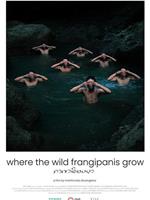 Where the Wild Frangipanis Grow在线观看