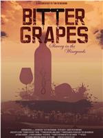 Bitter Grapes: Slavery in the Vineyards在线观看