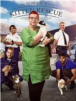 Jo Brand's Cats & Kittens Season 2