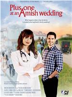 Plus One at an Amish Wedding在线观看