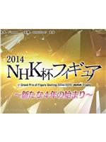 2014NHK杯总集 新的四年拉开序幕在线观看