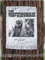 The Disappearance of Toby Blackwood