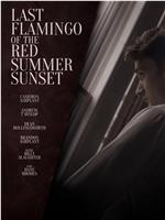 Last Flamingo of the Red Summer Sunset在线观看