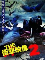 THE 冲击映像2在线观看