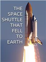 The Space Shuttle That Fell to Earth在线观看