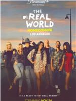 The Real World Homecoming Season 2在线观看